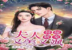 替身新娘阚清子完整版