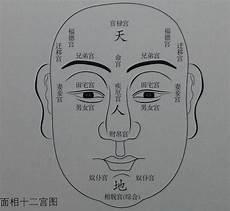 面部十二宫图解详细
