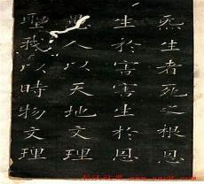 部首变体是什么意思